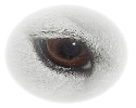 almond eye